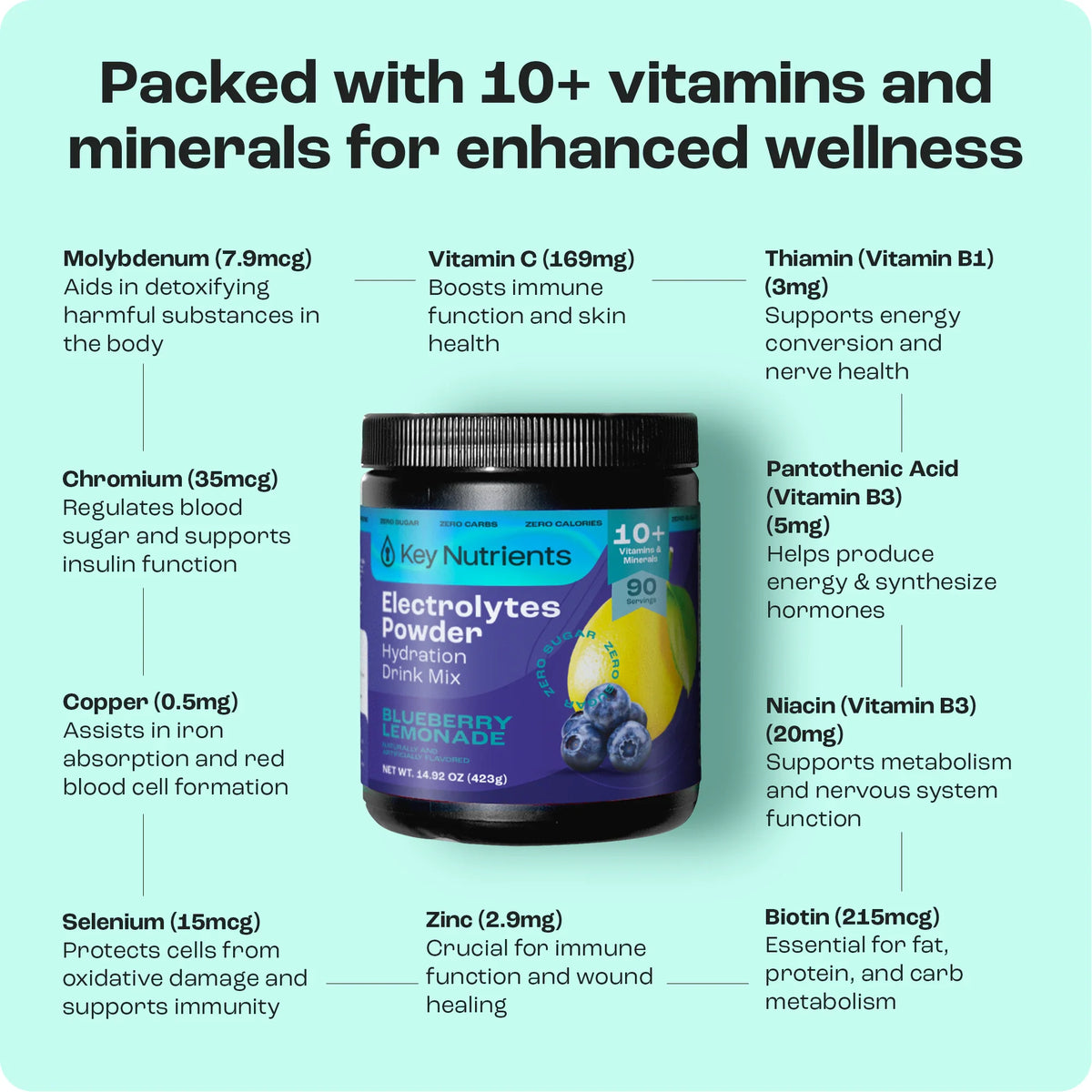 Electrolyte Recovery Plus Powder (Sugar-Free)